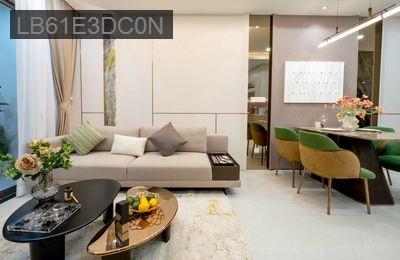 Căn hộ cao cấp cuối đường Phạm Văn Đồng-thanh toán 20%(380tr) nhận nhà - Phường Linh Xuân  -  Quận Thủ Đức 