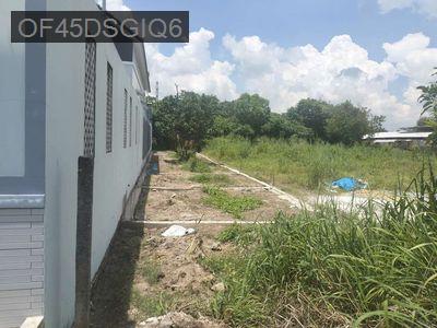 Dat mat tien duong nhuan duc - Xã Nhuận Đức  -  Huyện Củ Chi 