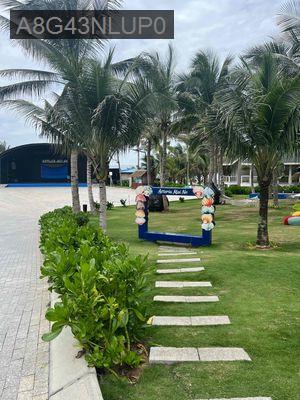 bán nhà sổ hồng riêng - Xã Long Hiệp  -  Huyện Bến Lức 