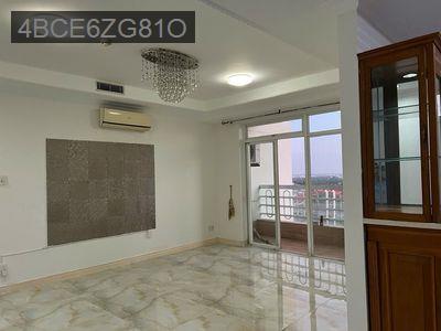 Cần bán căn hộ Penthouse Hoàng Tháp Plaza - Xã Bình Hưng  -  Huyện Bình Chánh 