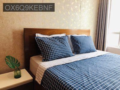 BÁN CĂN HỘ CAO CẤP GIAI VIỆT Q.8 – 115m2, 2PN, 2WC NT ĐẦY ĐỦ!!! - Phường 5  -  Quận 8 