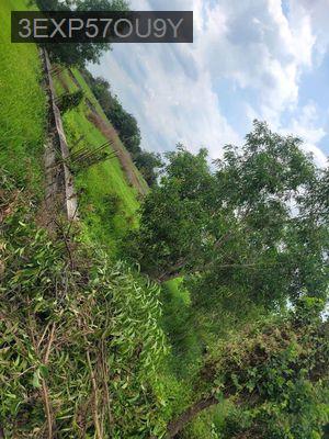 Bán Đất CC Đức Hoà gần Công viên - Thị trấn Đức Hoà  -  Huyện Đức Hòa 