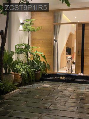 [Gần Sân banh Gò Đậu ], chính chủ bán nhà trung tâm Thủ Dầu Một - Phường Phú Thọ  -  Thành phố Thủ Dầu Một 