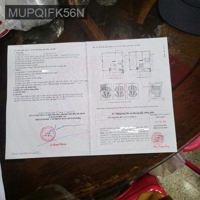 Về quê cấm câu nên cần bán - Phường Tân Hưng  -  Quận 7 