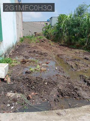 BÁN ĐẤT KHU DÂN CƯ HIỆN HỮU VỊ TRÍ ĐẸP, TIỆN ÍCH ĐẦY ĐỦ - Xã Mỹ Hạnh Nam  -  Huyện Đức Hòa 