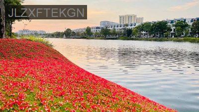 Chính chủ bán nhà phố lakeview 5x20. - Phường An Phú  -  Quận 2 