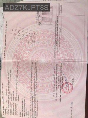 bán lô đất thổ cư xây dựng tự do nguyễn thị ngâu hẻm xe tải - Xã Thới Tam Thôn  -  Huyện Hóc Môn 