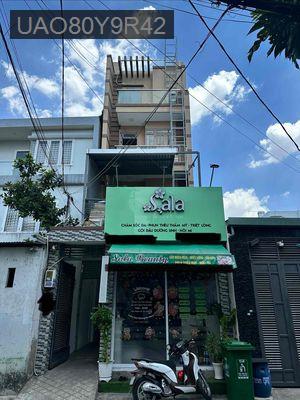 💰BÁN BĐS GÀ ĐẺ TRỨNG VÀNG TỐI THIỂU 55tr/thg (CÓ THỂ TĂNG 70tr/thg)💰 - Phường Bình Trị Đông  -  Quận Bình Tân 