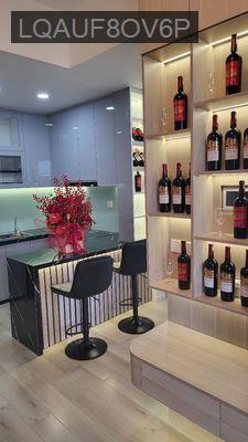 Bán Gấp cặn hộ Full nội thất 2 phòng ngủ - Phường Long Bình  -  Quận 9 