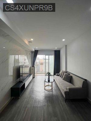 Chính Chủ Bán Căn Hộ Carillon2, 1PN - 1WC, SHR - Phường Hòa Thạnh  -  Quận Tân Phú 