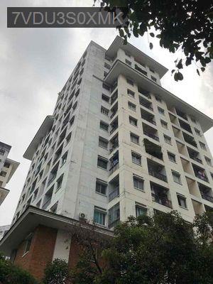 bán chung cư 312 lạc long quân p5 quận 11 tphcm - Phường 5  -  Quận 11 