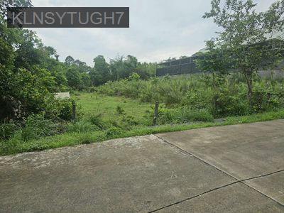 950m2( 16×76) Ngay cây Dù Vàng , có sổ , đúng giá 2 tỷ 3 - TT. Củ Chi  -  Huyện Củ Chi 