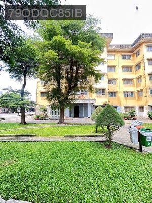 CC Bùi Minh Trực P6 Q8 45,3m2 SHR Căn góc 1PN lầu 1 .HHMG: 25tr - Phường 6  -  Quận 8 