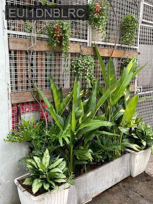 bán nhà hẻm quận 1 chính chủ *** - Phường Cầu Kho  -  Quận 1 
