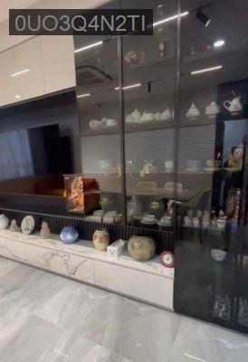 Căn hộ 6PN, 4WC SIÊU RỘNG, SUNRISE CITY SOUTH 268 M2, SIÊU ĐẸP, 23 TỶ - Phường Tân Hưng  -  Quận 7 