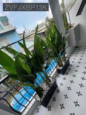 nhà mới xây 1 lầu, hẻm xe hơi 4x14m đẹp - Phường Bình Hưng Hòa  -  Quận Bình Tân 