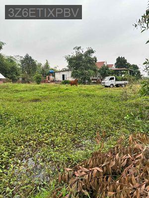 Đất Long An 1124 m2 full thổ cư, kẹt tiền bán 2.6 tỷ còn 1.5 tỷ - 