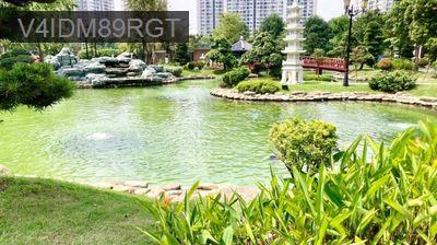 Căn hộ 1PN+ phân khu Origami( View Vườn Nhật Bản, hồ cá koi, hồ bơi) - Phường Long Thạnh Mỹ  -  Quận 9 