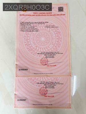 ĐẤT MẶT TIỀN ĐƯỜNG MỸ HẠNH - Xã Mỹ Hạnh Bắc  -  Huyện Đức Hòa 