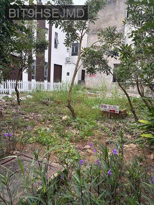 Đất đô thị ở lâu dài Bến Lức 3.5t còn thương lượng - Thị trấn Bến Lức  -  Huyện Bến Lức 