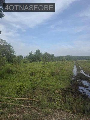 Bán đất An Tây, Bến Cát, Bình Dương với tổng diện tích 159m2 có ODT - Xã An Tây  -  Thị xã Bến Cát 