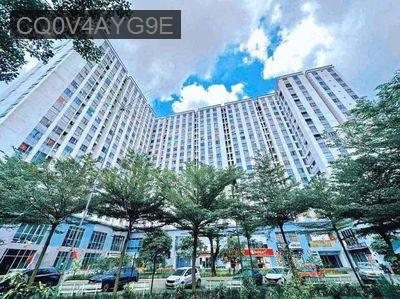 chính chủ cần bán - Phường Thới An  -  Quận 12 