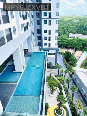 Căn hộ 47m2 1PN+ TP Thủ dầu một - Phường Phú Thọ  -  Thành phố Thủ Dầu Một 