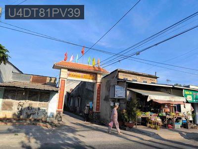 cần bán gấp đất mặt tiền cây mắm long cang - Xã Long Cang  -  Huyện Cần Đước 