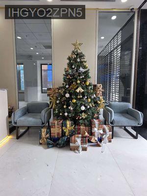 5.2 TỶ! BÁN CĂN HỘ CARILLON 7 3PN FULL NT ĐẸP - Phường Tân Thới Hoà  -  Quận Tân Phú 