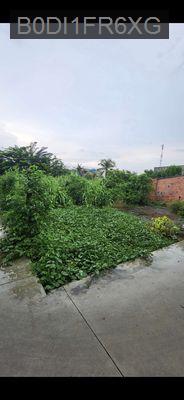 Bán đất - Xã Tân Quý Tây  -  Huyện Bình Chánh  - 600m² - 8.2tỷ