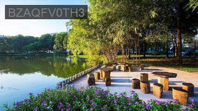 Bán chung cư thang bộ sổ hồng riêng lâu dài.DT 73m2 - Phường Tân Quý  -  Quận Tân Phú 