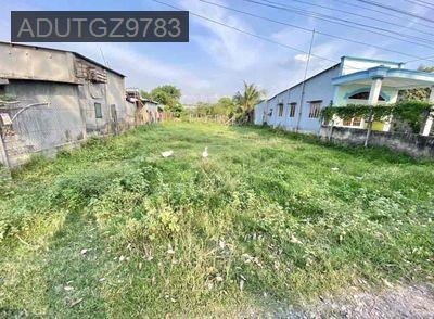 🌟 BÁN ĐẤT ĐẸP – XÃ NHUẬN ĐỨC (TLH) – CỦ CHI 🌟 - Xã Nhuận Đức  -  Huyện Củ Chi 