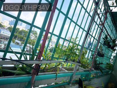 Căn góc 3 mặt cửa sổ - Phường 3  -  Quận Bình Thạnh 