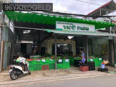 Nhà MT102 Đông Hưng Thuận 02, 5m1 x 26m5 chợ Cây Sộp, giá ***. - Phường Đông Hưng Thuận  -  Quận 12 