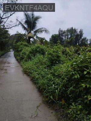 MẶT TIỀN ĐƯỜNG SỐ 9  TRƯỜNG THẠNH Q9 THỦ ĐỨC 5000M2 ,GIÁ 15,5 TR /M2 - Phường Trường Thạnh  -  Quận 9 