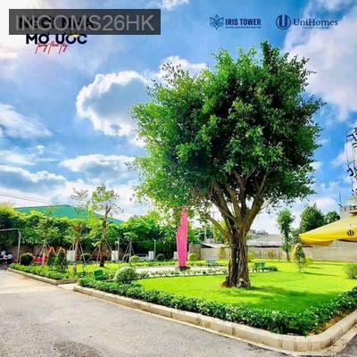 Đi định cư, Chính chủ bán căn góc chung cư  hướng Mặt Trời mọc - Phường Bình Hòa  -  Thị xã Thuận An 