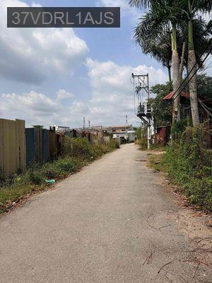 1000m2 mặt tiền giấy tờ tay khu dân cư 12x85 - Xã Vĩnh Lộc B  -  Huyện Bình Chánh 