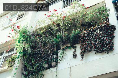 BÁN CĂN HỘ C1 MAN THIỆN - Phường Tăng Nhơn Phú A  -  Quận 9 