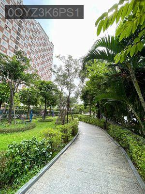 CĂN HỘ 4 PHÒNG NGỦ – GIÁ CỰC HIẾM TẠI THỦ ĐỨC – NHẬN NHÀ NGAY - Phường Tam Phú  -  Quận Thủ Đức 