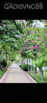 Bán biệt thự liền kề View sông - Phường An Phú  -  Quận 2 