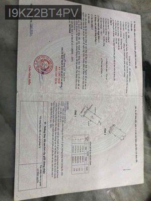 chính chủ đang cần tiền bán nhanh - Phường 12  -  Quận Gò Vấp 