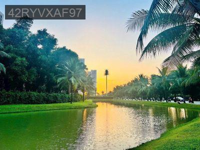 Bán căn hộ 2PN | 69m2 | Masteri LUMIERE. Giá 4,2 tỷ All in. Sẵn sổ. - Phường Long Bình  -  Quận 9 