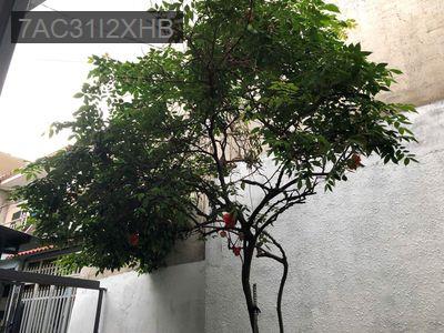BẤT ĐỘNG SẢN QUẬN 9 GẦN TRUNG TÂM THÀNH PHỐ - Phường Tăng Nhơn Phú B  -  Quận 9 