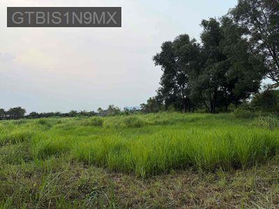 QUỸ ĐẤT HƠN 1HA – MẶT TIỀN DƯƠNG CÔNG KHI, HÓC MÔN - Xã Xuân Thới Sơn  -  Huyện Hóc Môn 