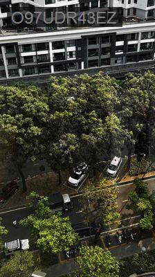 Chính chủ bán căn hộ Diamond Alnata Plus view Đại Lộ như hình 😍 - Phường Sơn Kỳ  -  Quận Tân Phú 