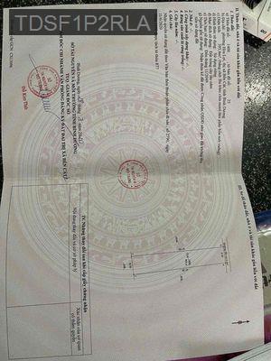 8x47 nở hậu 9m. Gần NOXH KimOanh giá 1ty8 mua xây trọlàm nhà vườn - Phường Hòa Phú  -  Thành phố Thủ Dầu Một 