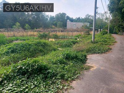 Gia đình cần bán lô đất SHR 335m2 cách trung tâm TP Bến Cát 700m - Phường Mỹ Phước  -  Thị xã Bến Cát 