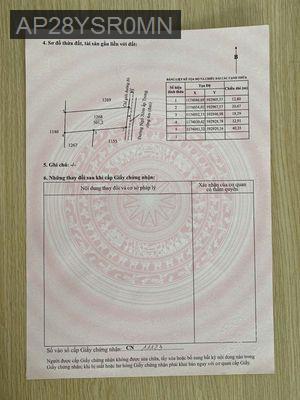 501m2 Đất vườn đường xe hơi cần bán gấp - Xã Phước Hậu  -  Huyện Cần Giuộc 