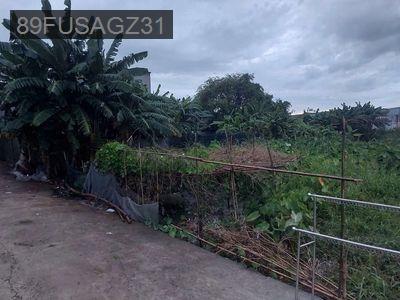 Bán đất thổ cư trung đông 12 - Xã Thới Tam Thôn  -  Huyện Hóc Môn 