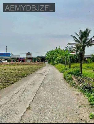 Đất thổ cư 110m² Nguyễn Văn Tiếp Tân An Long An - Phường 5  -  Thành phố Tân An 